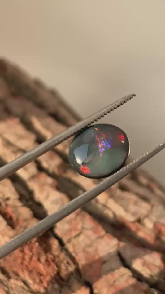 Australian Black opal with red play of color