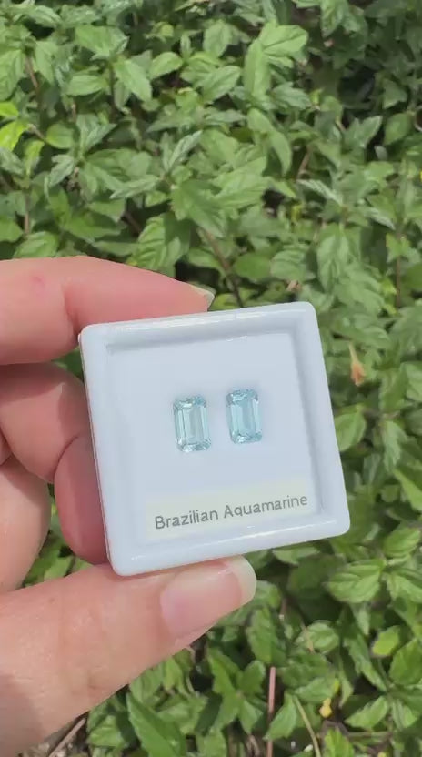 Aquamarine pair