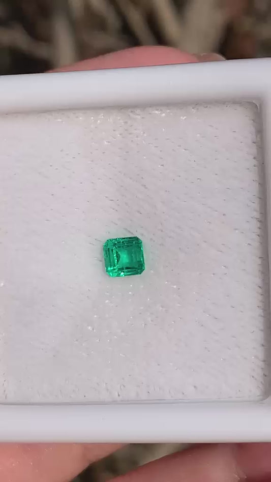 colombian emerald from Muzo