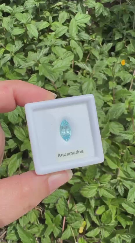aquamarine Marquise cut
