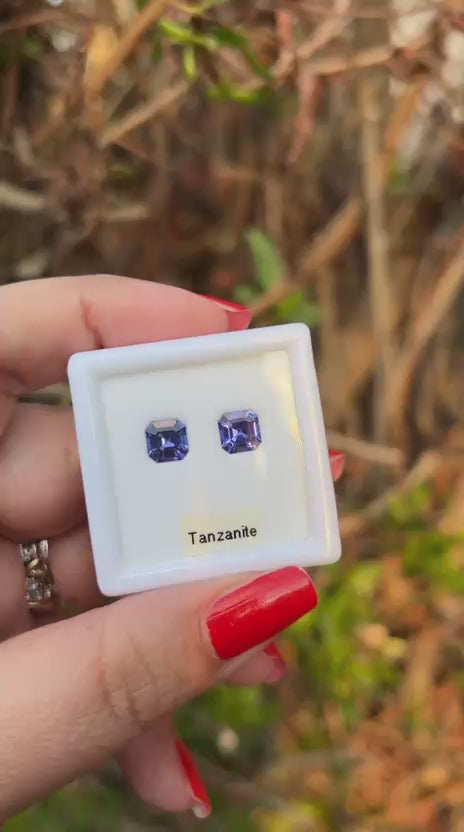 Tanzanite pair